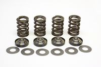Valve Springs.